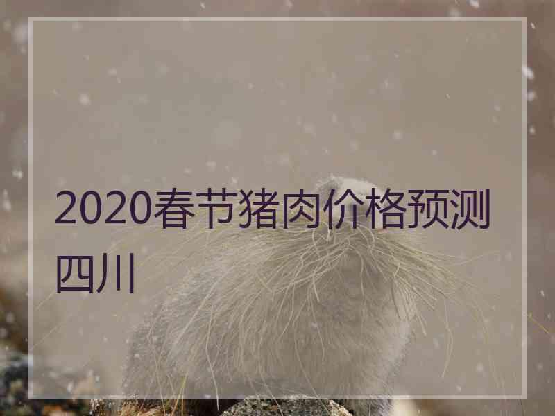 2020春节猪肉价格预测四川