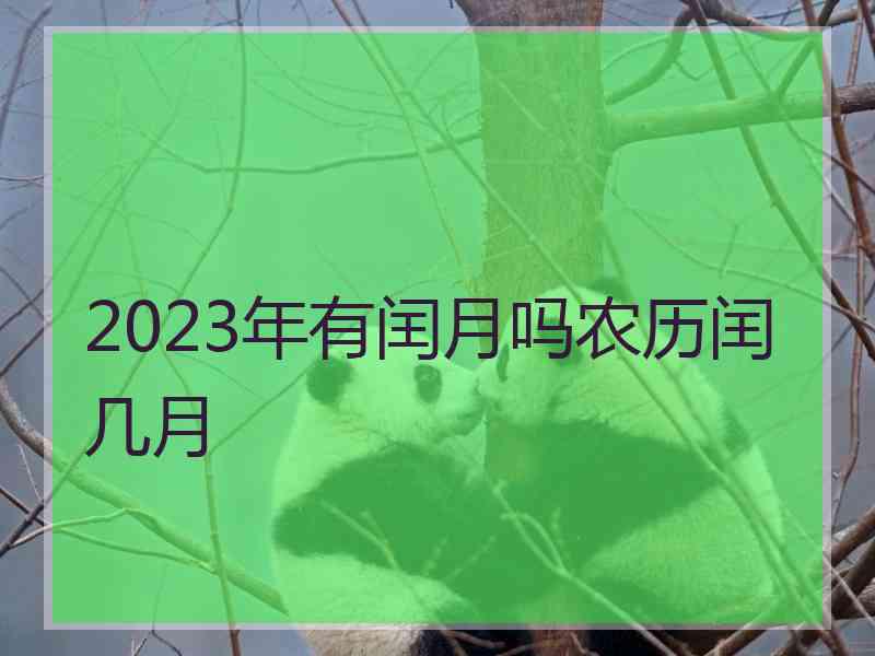 2023年有闰月吗农历闰几月