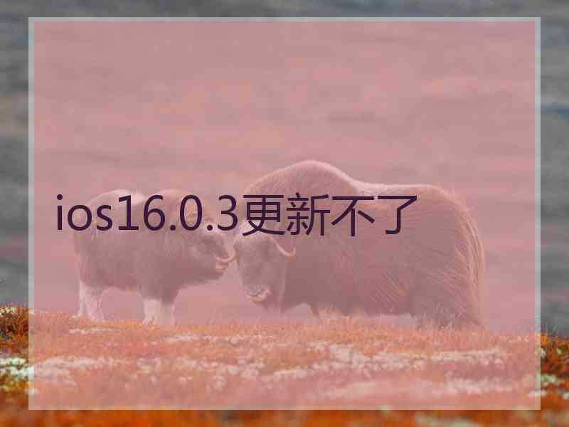 ios16.0.3更新不了