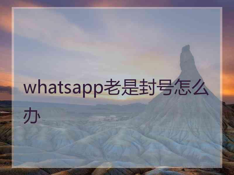 whatsapp老是封号怎么办