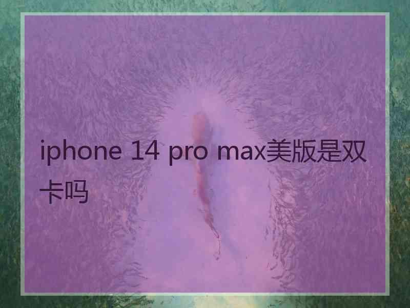 iphone 14 pro max美版是双卡吗