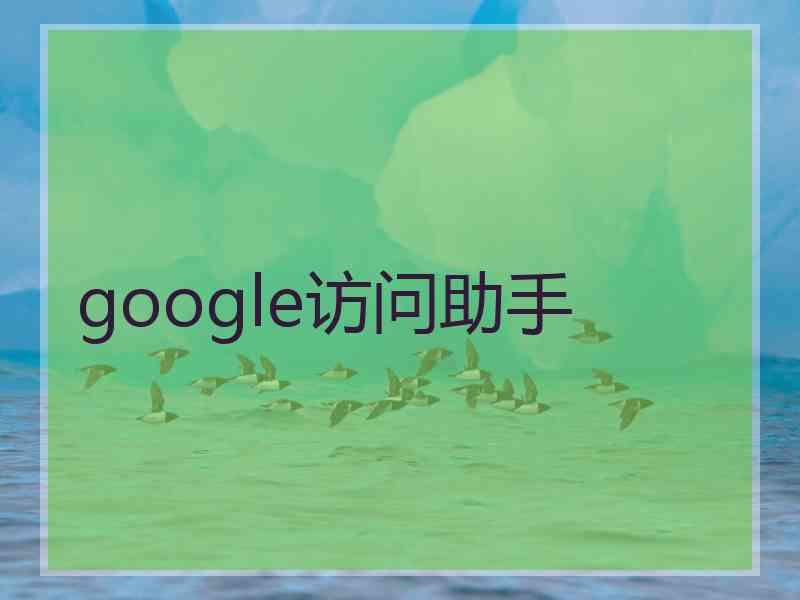 google访问助手