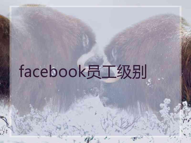 facebook员工级别