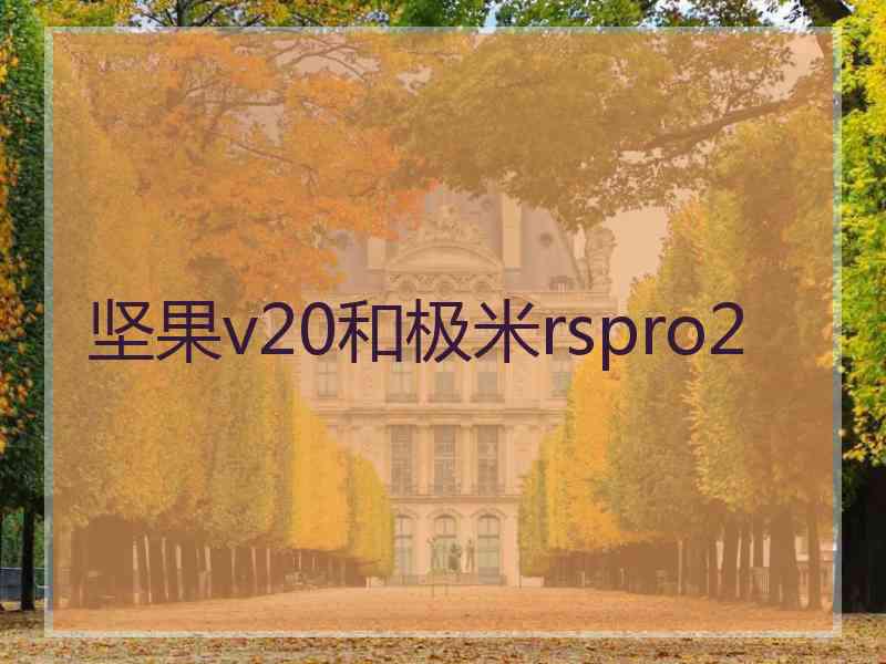 坚果v20和极米rspro2