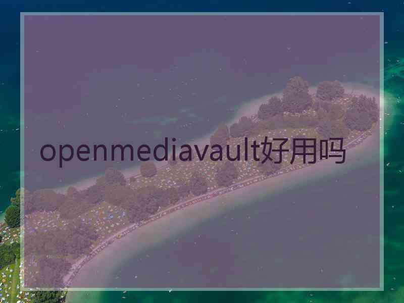 openmediavault好用吗