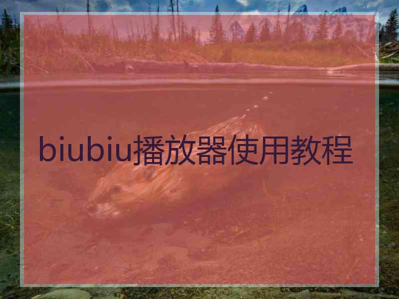 biubiu播放器使用教程