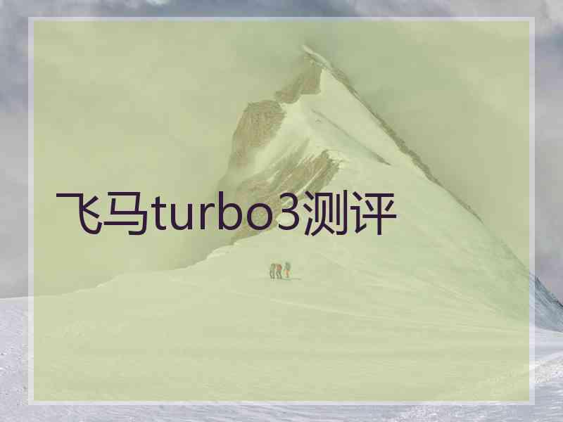 飞马turbo3测评