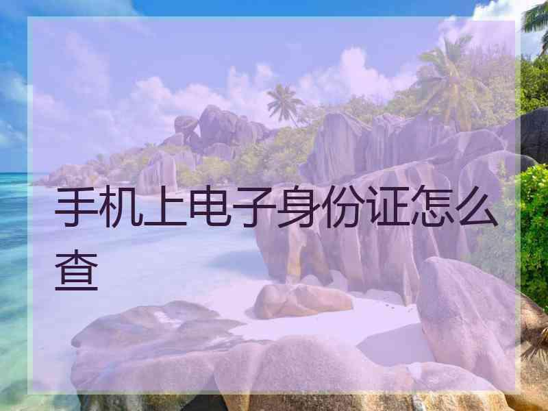 手机上电子身份证怎么查