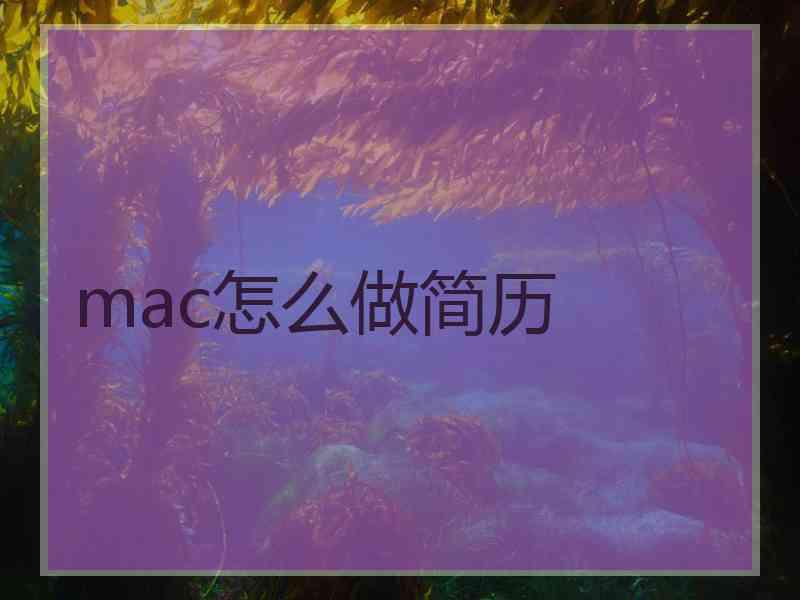 mac怎么做简历