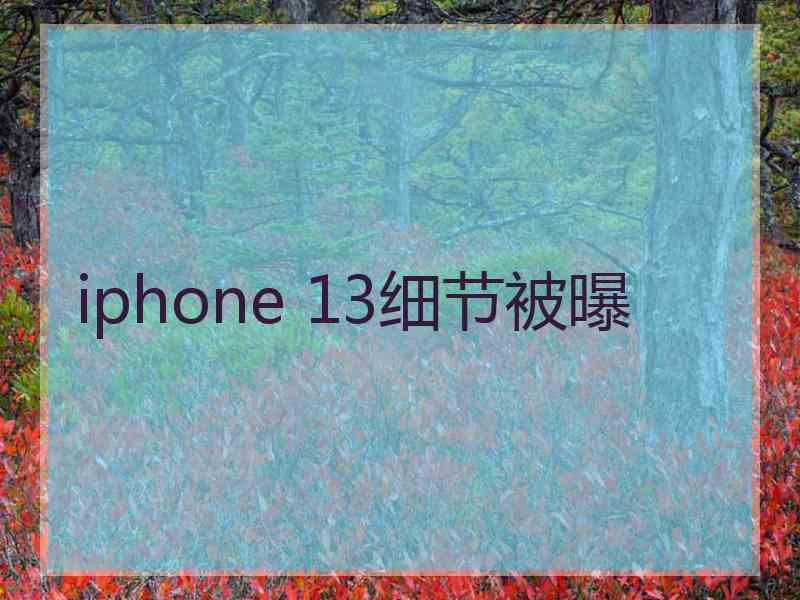 iphone 13细节被曝