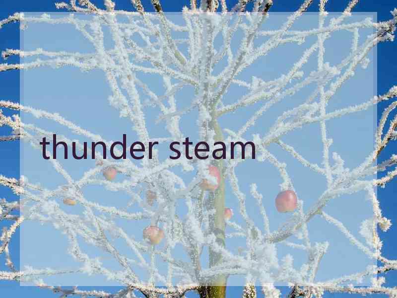 thunder steam