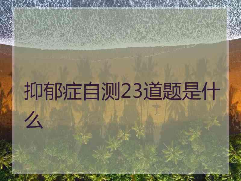 抑郁症自测23道题是什么