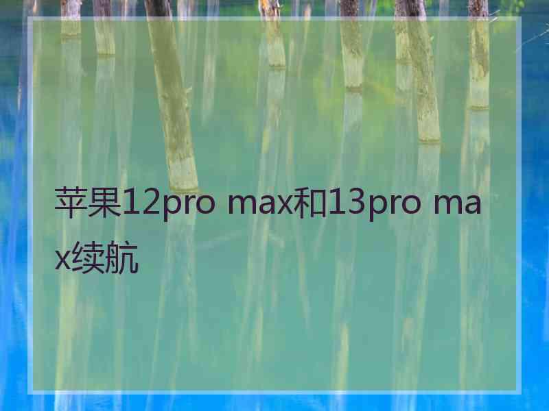 苹果12pro max和13pro max续航