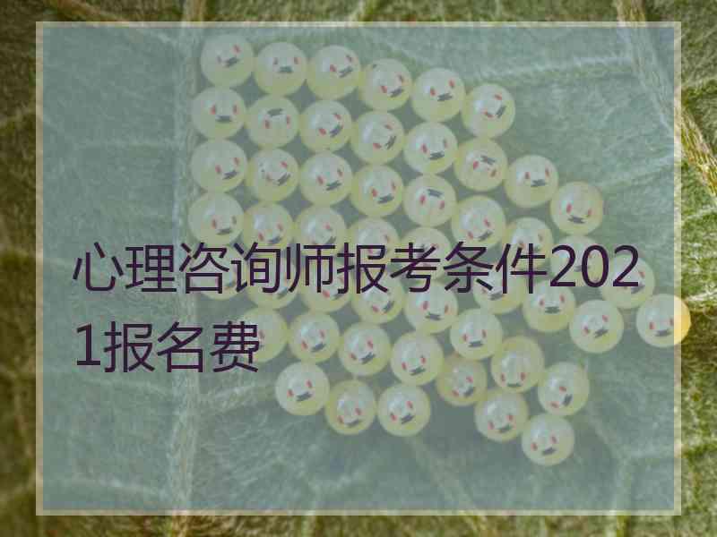 心理咨询师报考条件2021报名费