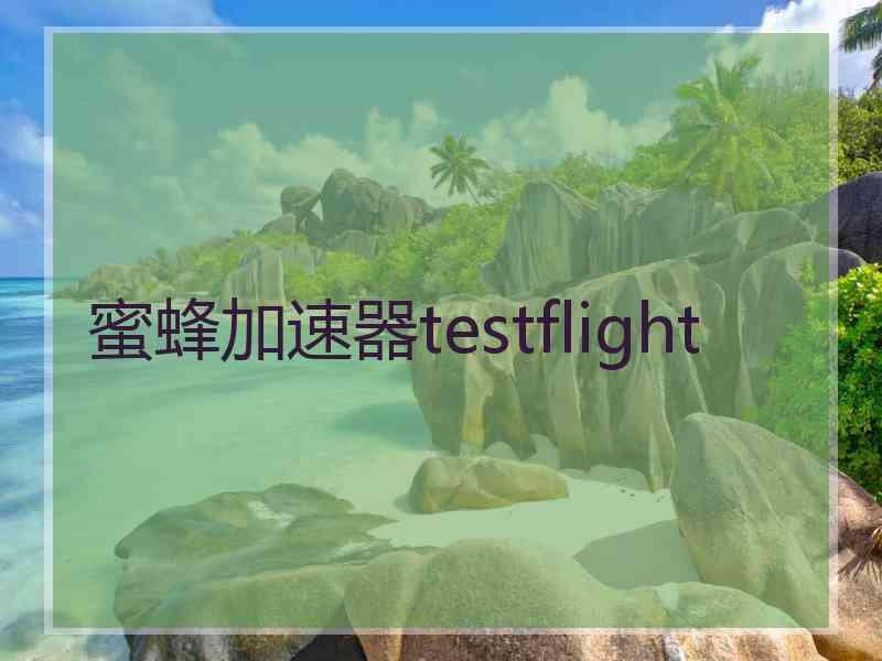 蜜蜂加速器testflight