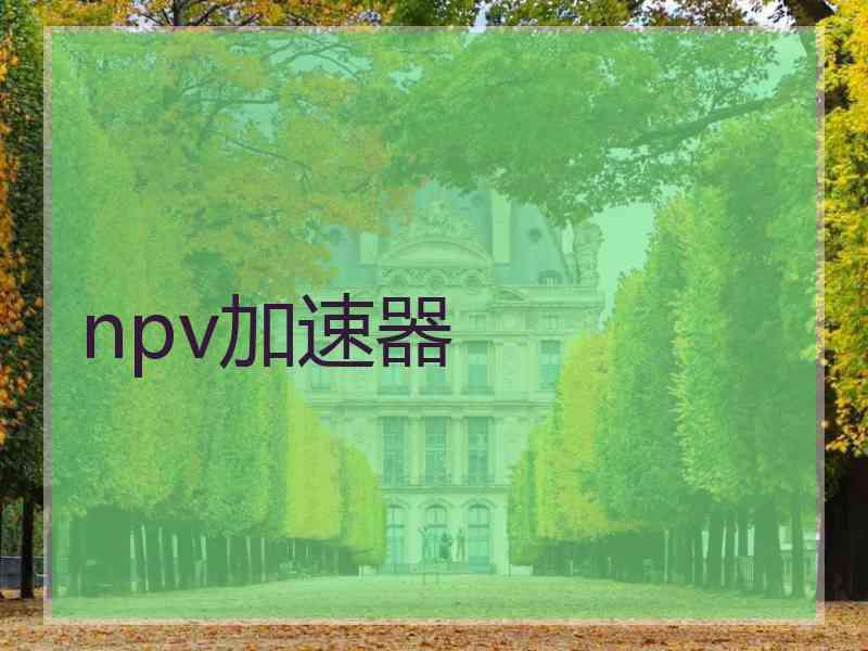 npv加速器