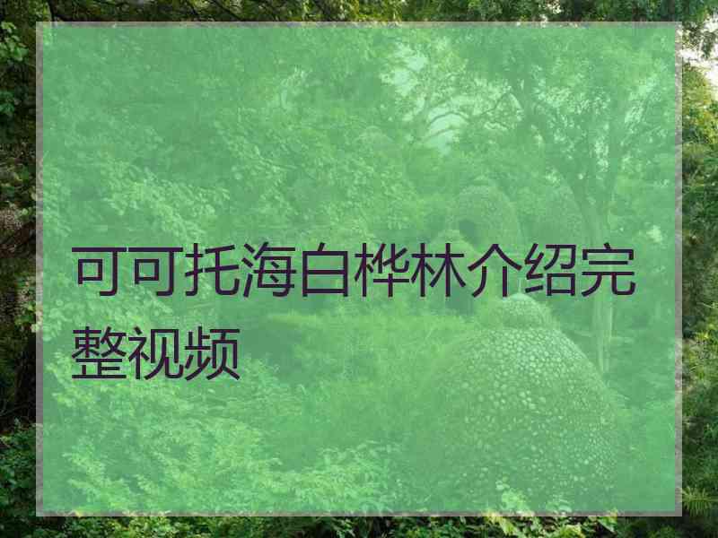 可可托海白桦林介绍完整视频