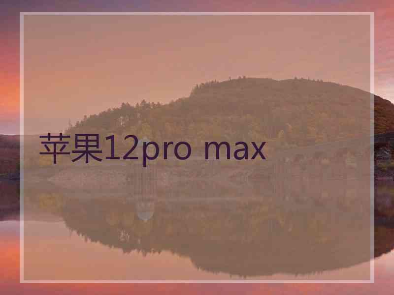 苹果12pro max