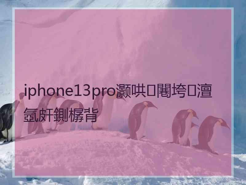 iphone13pro灏哄闀垮澶氬皯鍘樼背