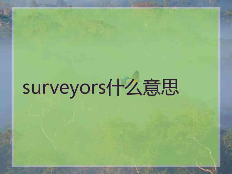 surveyors什么意思