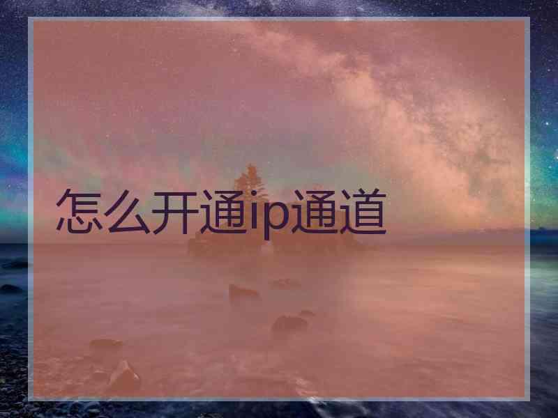 怎么开通ip通道