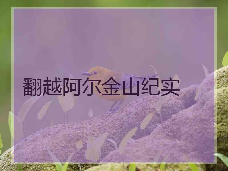 翻越阿尔金山纪实