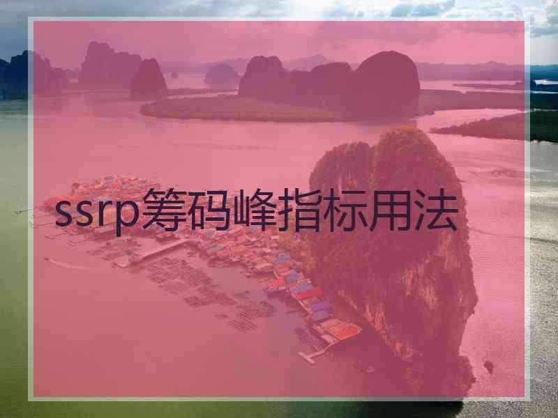 ssrp筹码峰指标用法