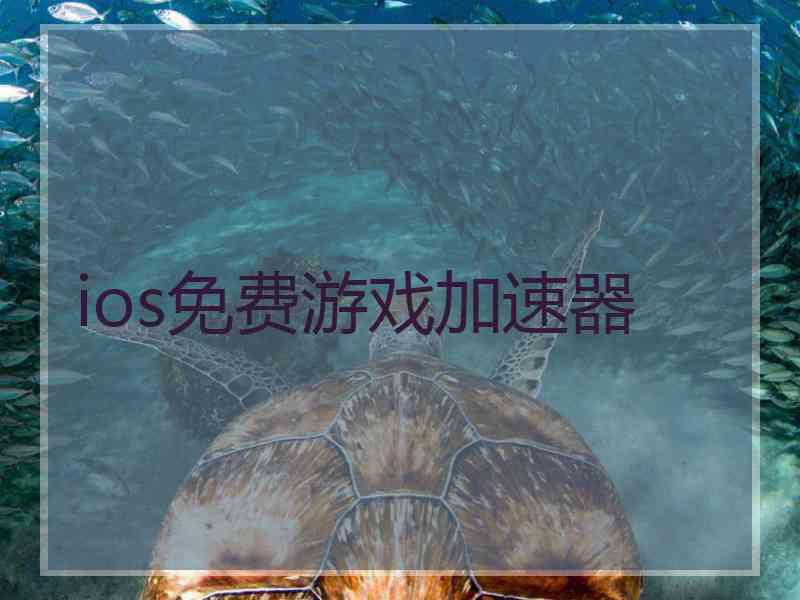 ios免费游戏加速器