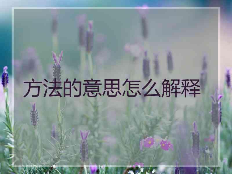 方法的意思怎么解释