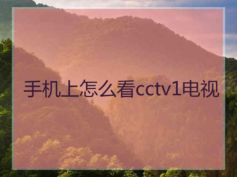 手机上怎么看cctv1电视