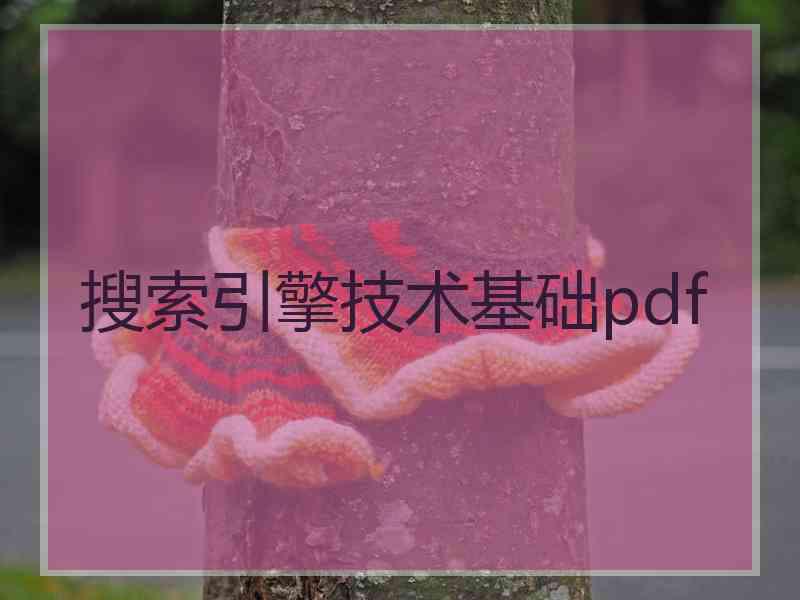 搜索引擎技术基础pdf