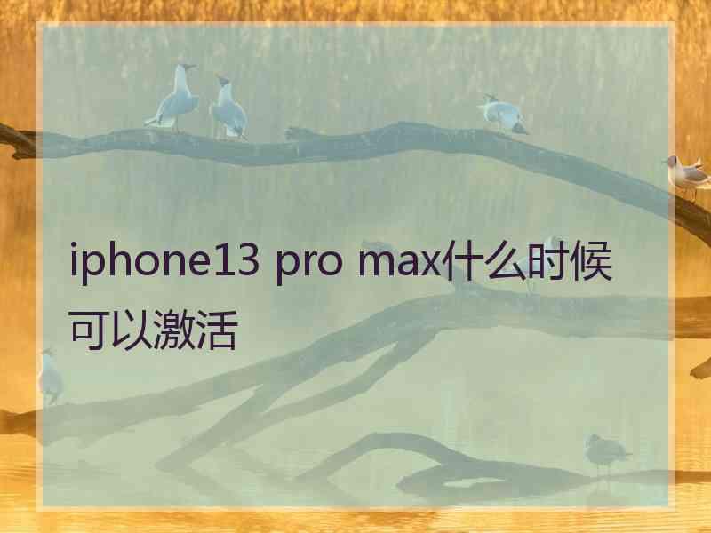 iphone13 pro max什么时候可以激活