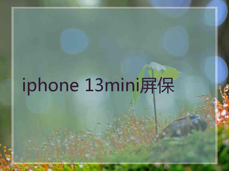 iphone 13mini屏保