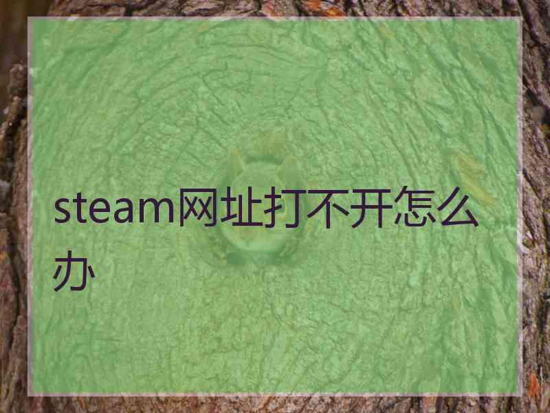 steam网址打不开怎么办