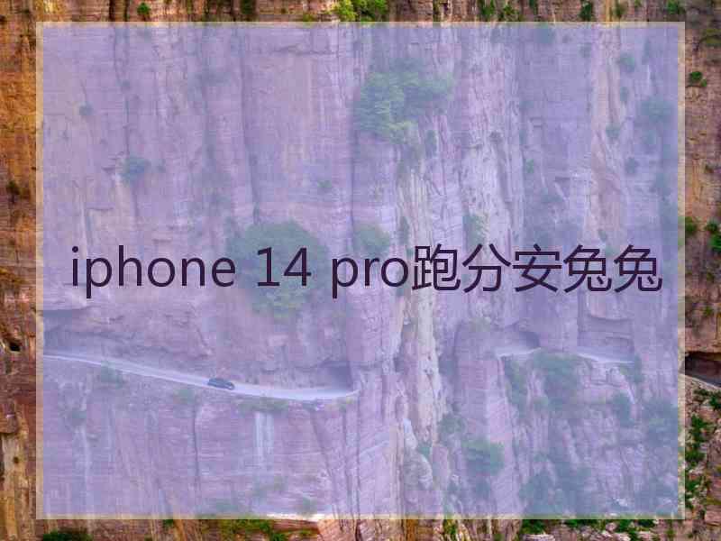 iphone 14 pro跑分安兔兔