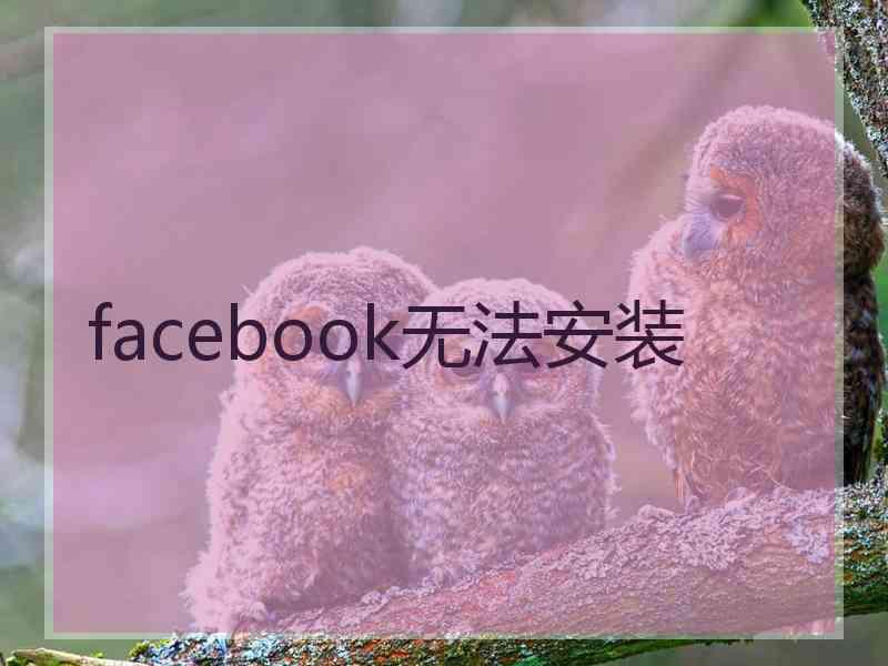 facebook无法安装