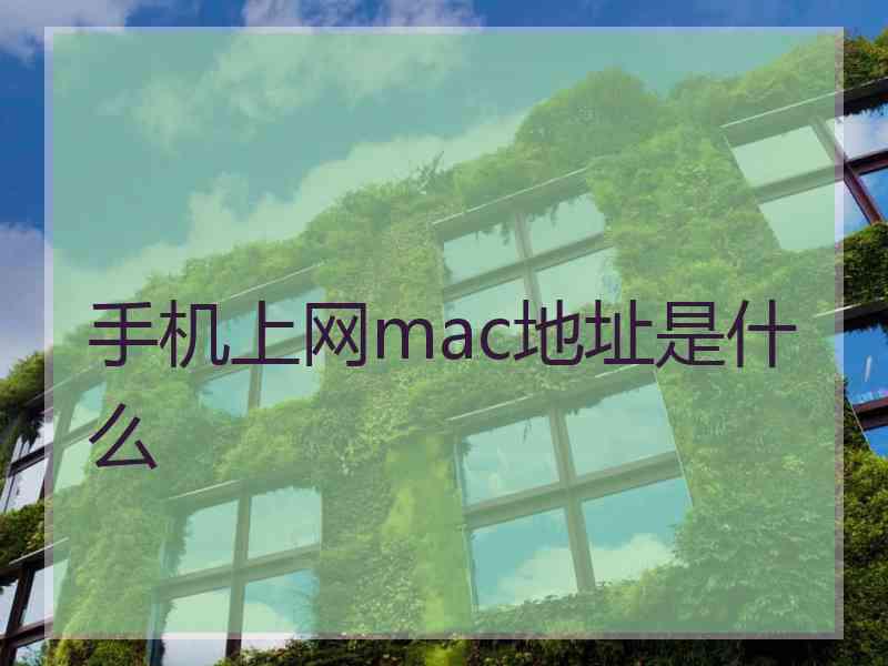 手机上网mac地址是什么