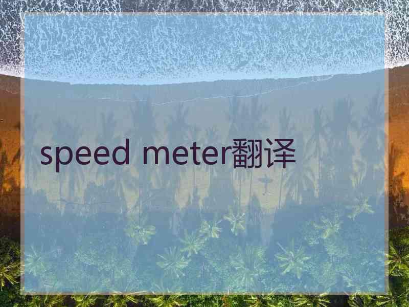 speed meter翻译