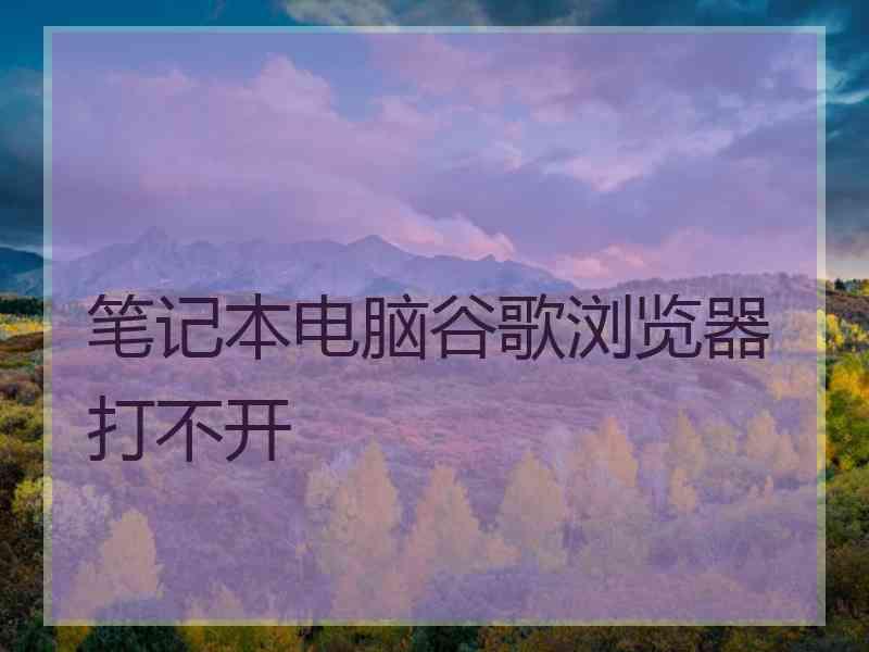 笔记本电脑谷歌浏览器打不开