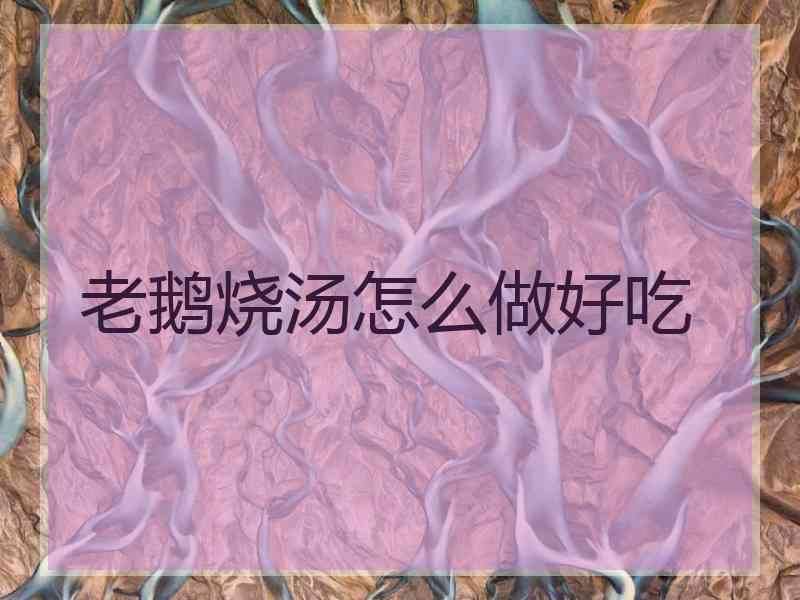 老鹅烧汤怎么做好吃