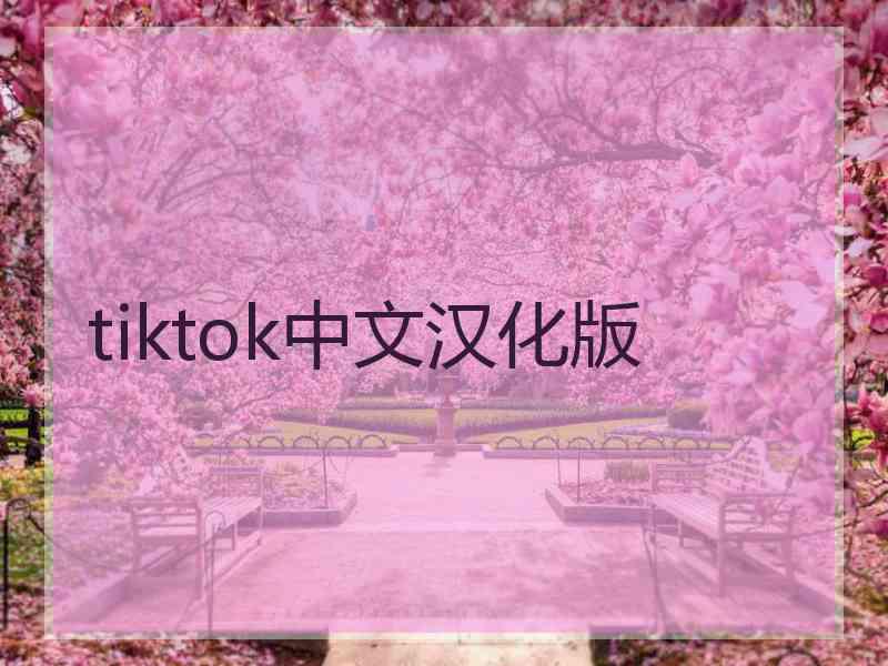 tiktok中文汉化版