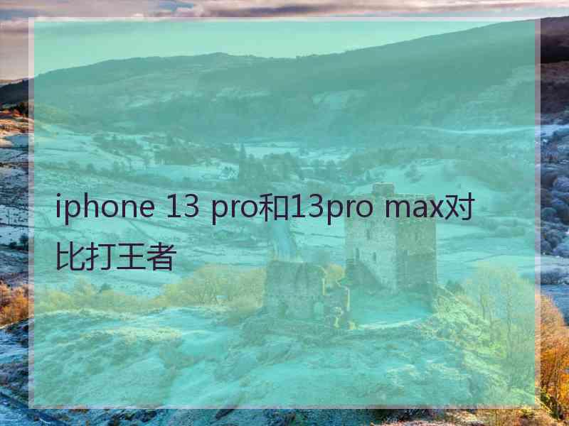 iphone 13 pro和13pro max对比打王者