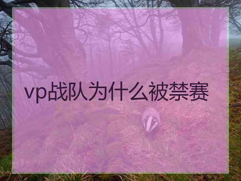 vp战队为什么被禁赛