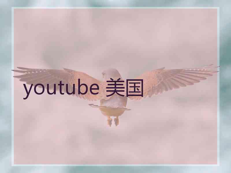 youtube 美国