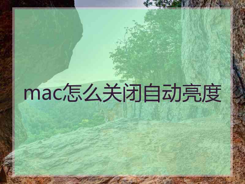 mac怎么关闭自动亮度