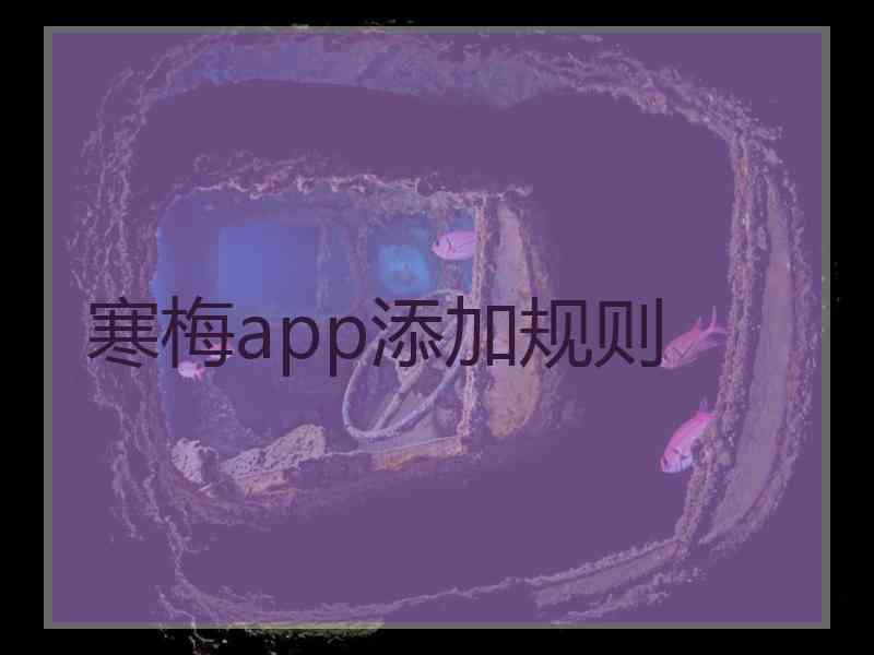 寒梅app添加规则