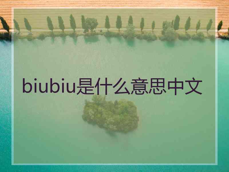 biubiu是什么意思中文