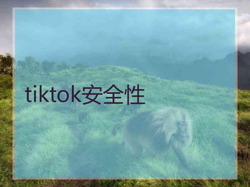 tiktok安全性