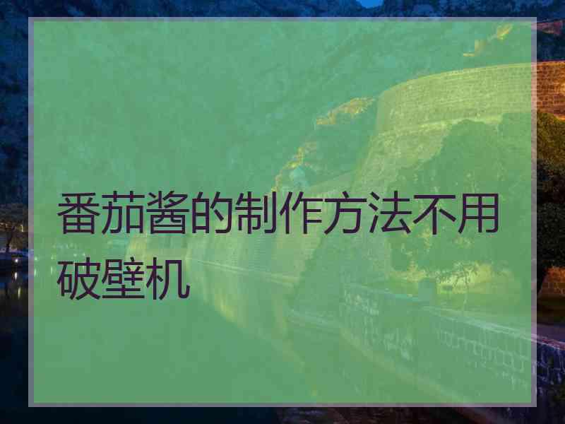 番茄酱的制作方法不用破壁机