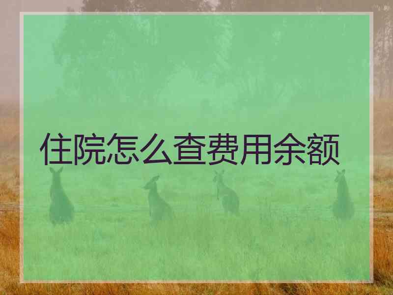 住院怎么查费用余额